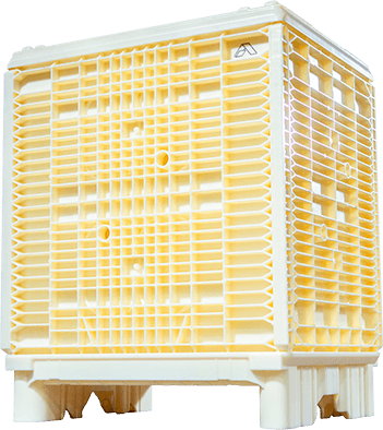 Cheese Box