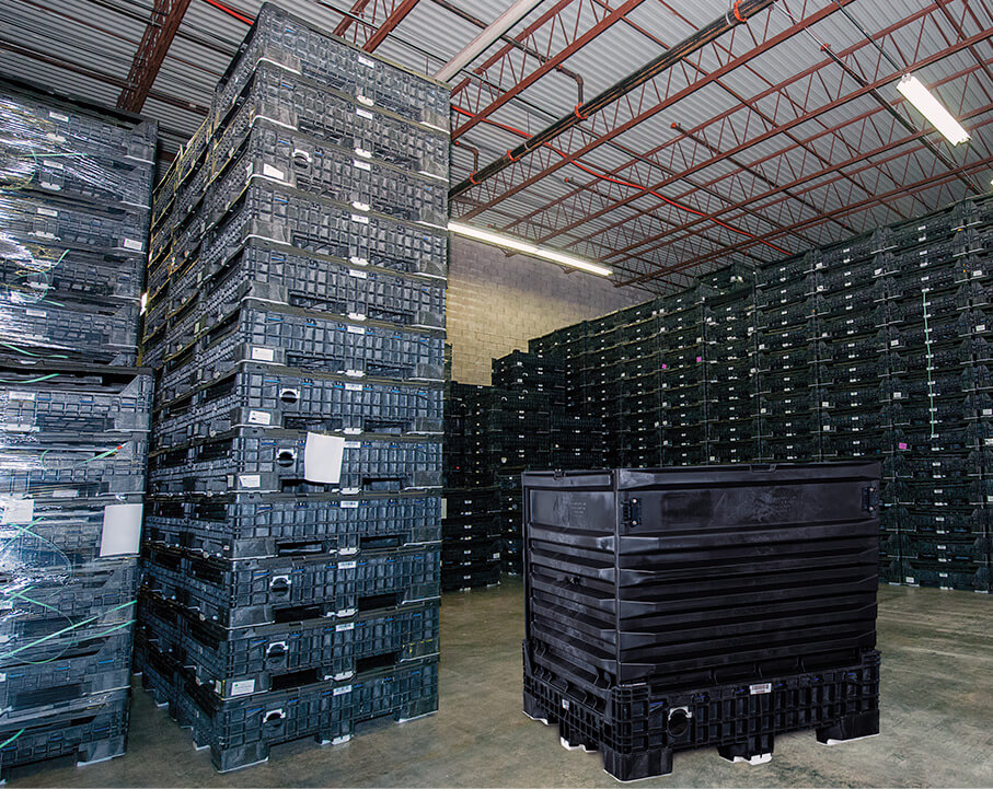 IBC Main Image